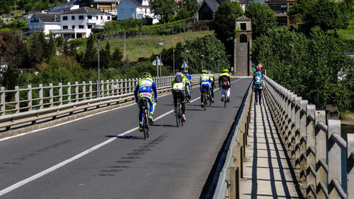 People on bicycle against trees in city