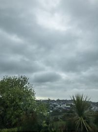 Trees and plants against cloudy sky