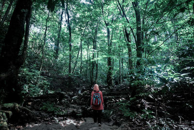 Woman standing amidst trees in forest