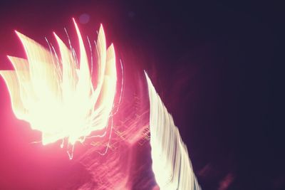 Close-up of firework display at night