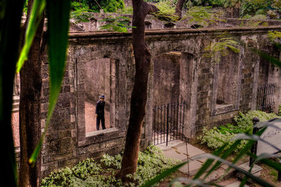 Rear view of man standing by plants in forest