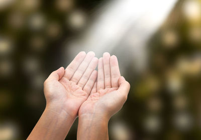 Close-up of hands cupped against blurred background