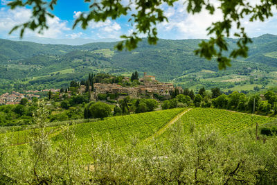 Montefioralle florence tuscany the ancient medieval village