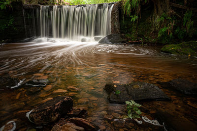 Scenic view of waterfall in forest