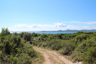 Scenic view of field by sea against blue sky