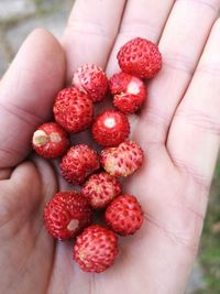Close-up of hand holding strawberries