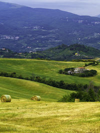 Scenic view of field against sky