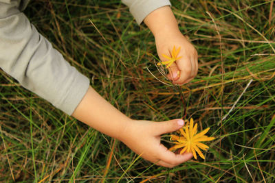 Close-up of woman on grassy field