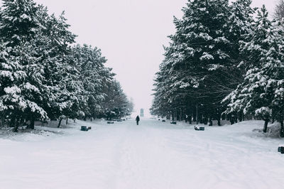 Trees on snow covered landscape against clear sky