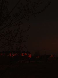 Silhouette trees by illuminated building against sky at night