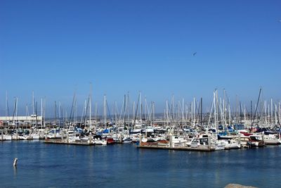 Sailboats moored in sea against clear blue sky