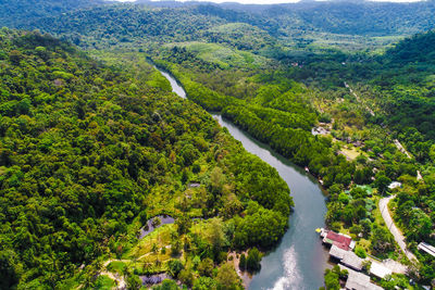 High angle view of river amidst trees in forest