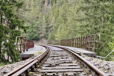 Railroad tracks amidst trees in forest