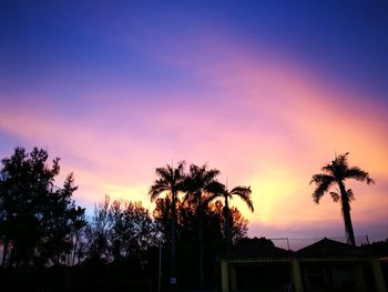 Silhouette trees against sky during sunset