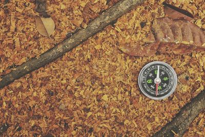 Close-up of navigational compass on table