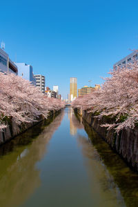 Canal amidst buildings against clear blue sky