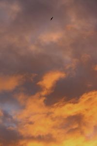 Low angle view of silhouette bird flying against dramatic sky