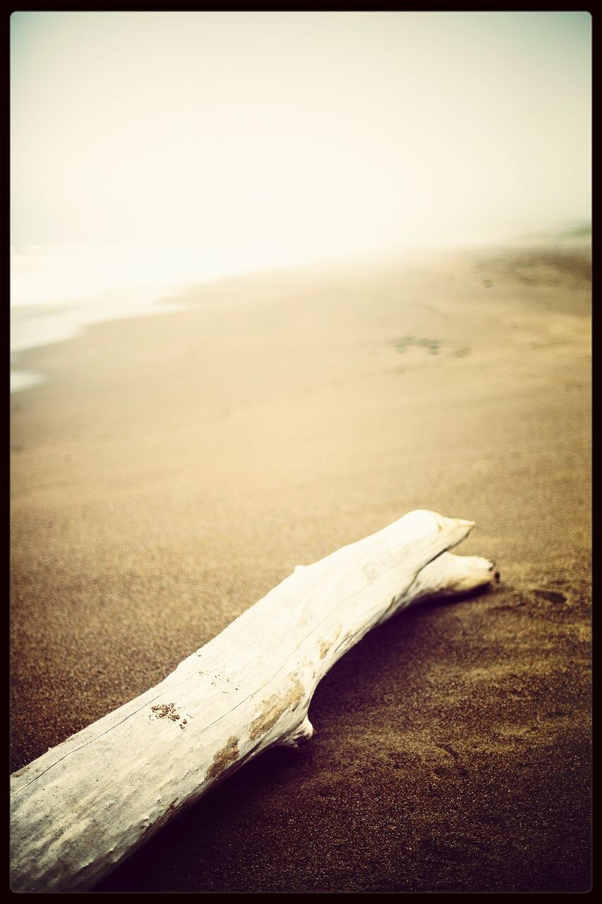 transfer print, auto post production filter, sand, wood - material, tranquility, tranquil scene, landscape, nature, sky, wood, no people, beach, day, wooden, scenics, clear sky, outdoors, absence, beauty in nature, field