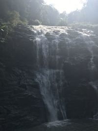 Scenic view of waterfall in forest