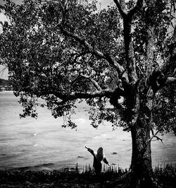 Rear view of woman standing by tree