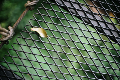 Low angle view of a metal grate