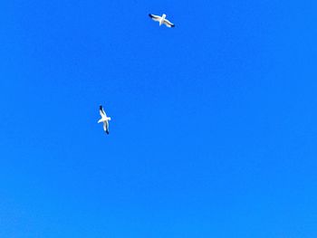 Low angle view of airplane flying in sky