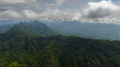 environment
