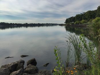 Reflection of trees in lake