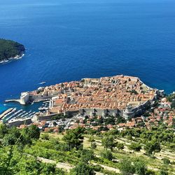 Aerial view of city and trees by blue sea