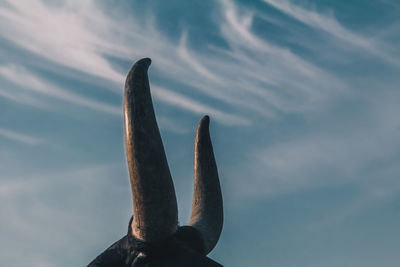 Low angle view of a bird against sky