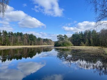 Scenic view of lake by trees against sky