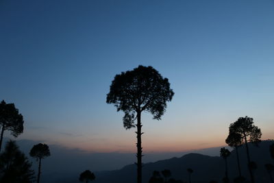 Silhouette trees against sky during sunset