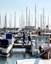 Sailboats moored on harbor against sky