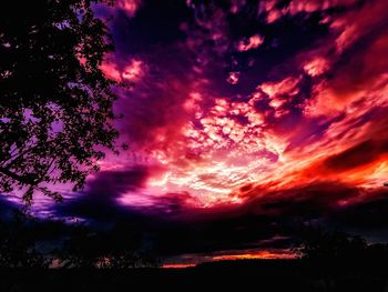 Low angle view of silhouette trees against dramatic sky