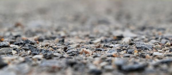 Close-up of stones on sand