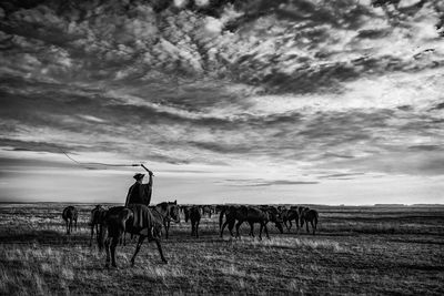 Man riding horse on land against cloudy sky