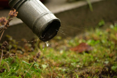 Close-up of water drop falling from pipe