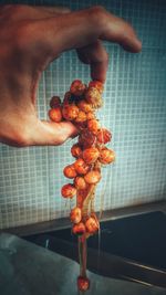 Cropped hand of man holding caramelized hazelnut