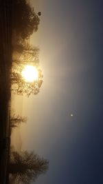 Silhouette trees against sky during sunset