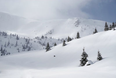 Scenic view of snow covered mountains against sky