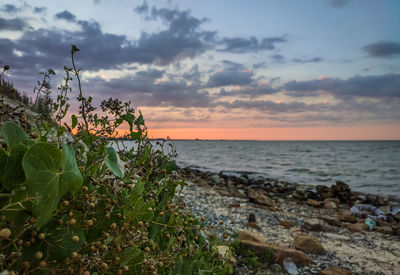 Scenic view of sea against sky during sunset