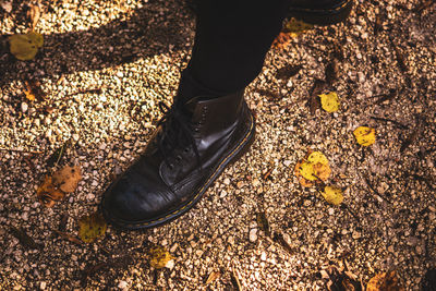 Low section of person standing on land