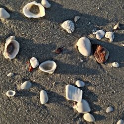 Surface level of pebbles on beach