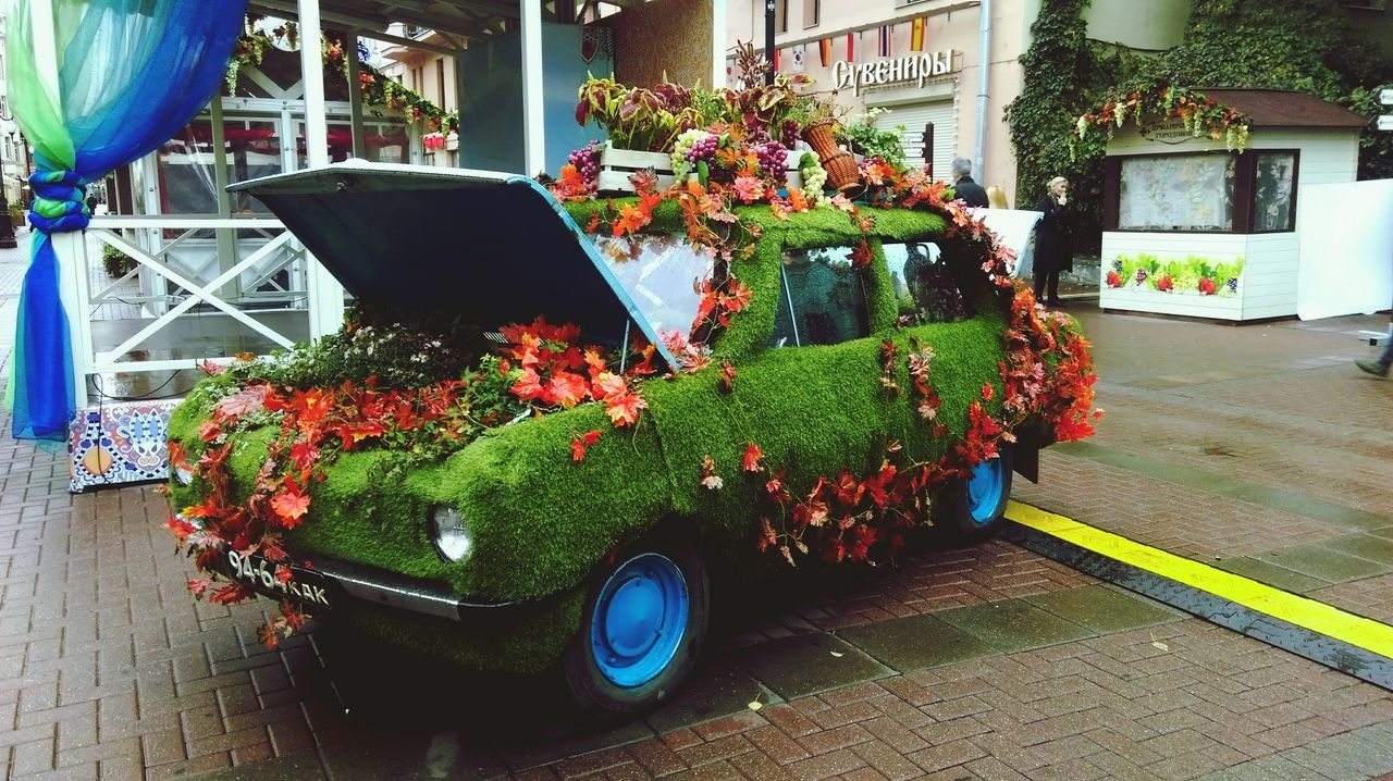 plant, potted plant, for sale, freshness, building exterior, retail, growth, green color, variation, front or back yard, built structure, market, outdoors, flower, day, market stall, basket, architecture, no people, house