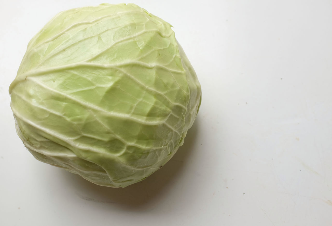 cabbage, food and drink, food, healthy eating, freshness, wellbeing, vegetable, produce, indoors, studio shot, green, single object, no people, close-up, organic, plant part, raw food, leaf, cut out, still life