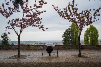 A man finds peace while admiring the city accompanied by the sound of rain on his umbrella.