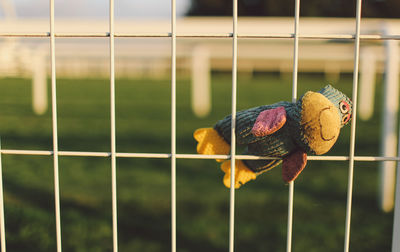 Stuffed toy on metal fence