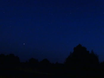 Low angle view of silhouette trees against clear sky at night
