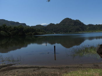 Scenic view of lake by silhouette trees against clear sky