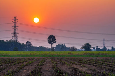 Scenic view of field against sky during sunset